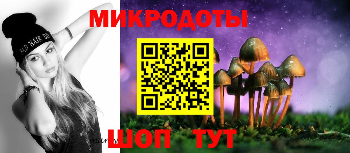 Губкинский  Галлюциногенные грибы Cubensis  Галлюциногенные грибы прущие грибы  Вход с VPN 